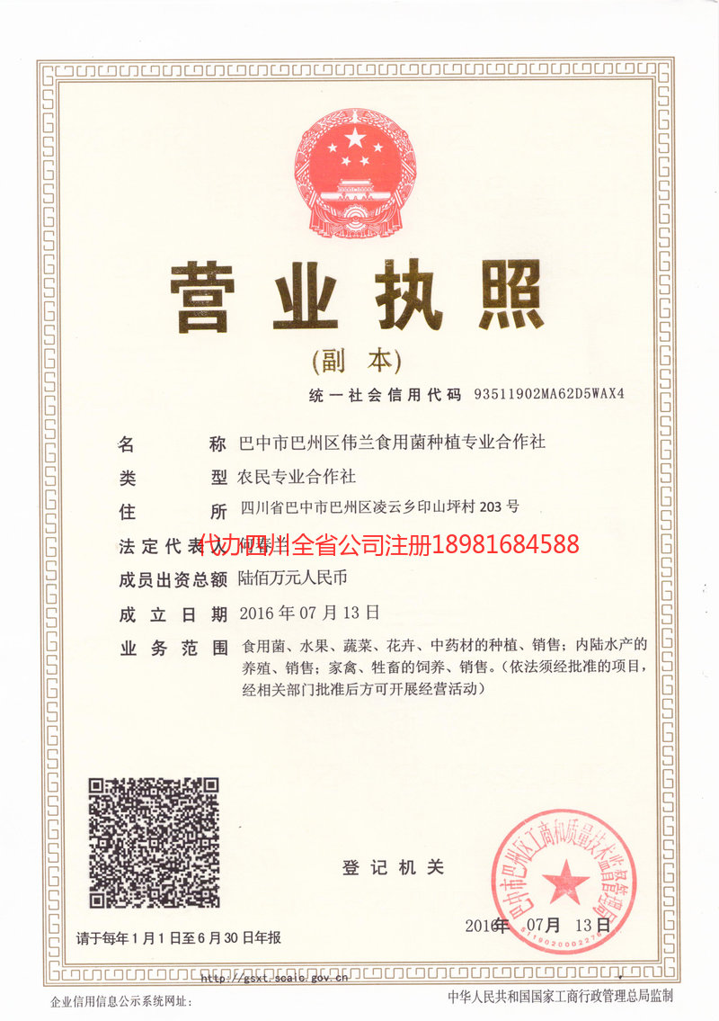 凌海凌海伟兰食用菌种植专业合作社